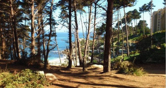 Departamento Algarrobo Condominio Laguna מראה חיצוני תמונה